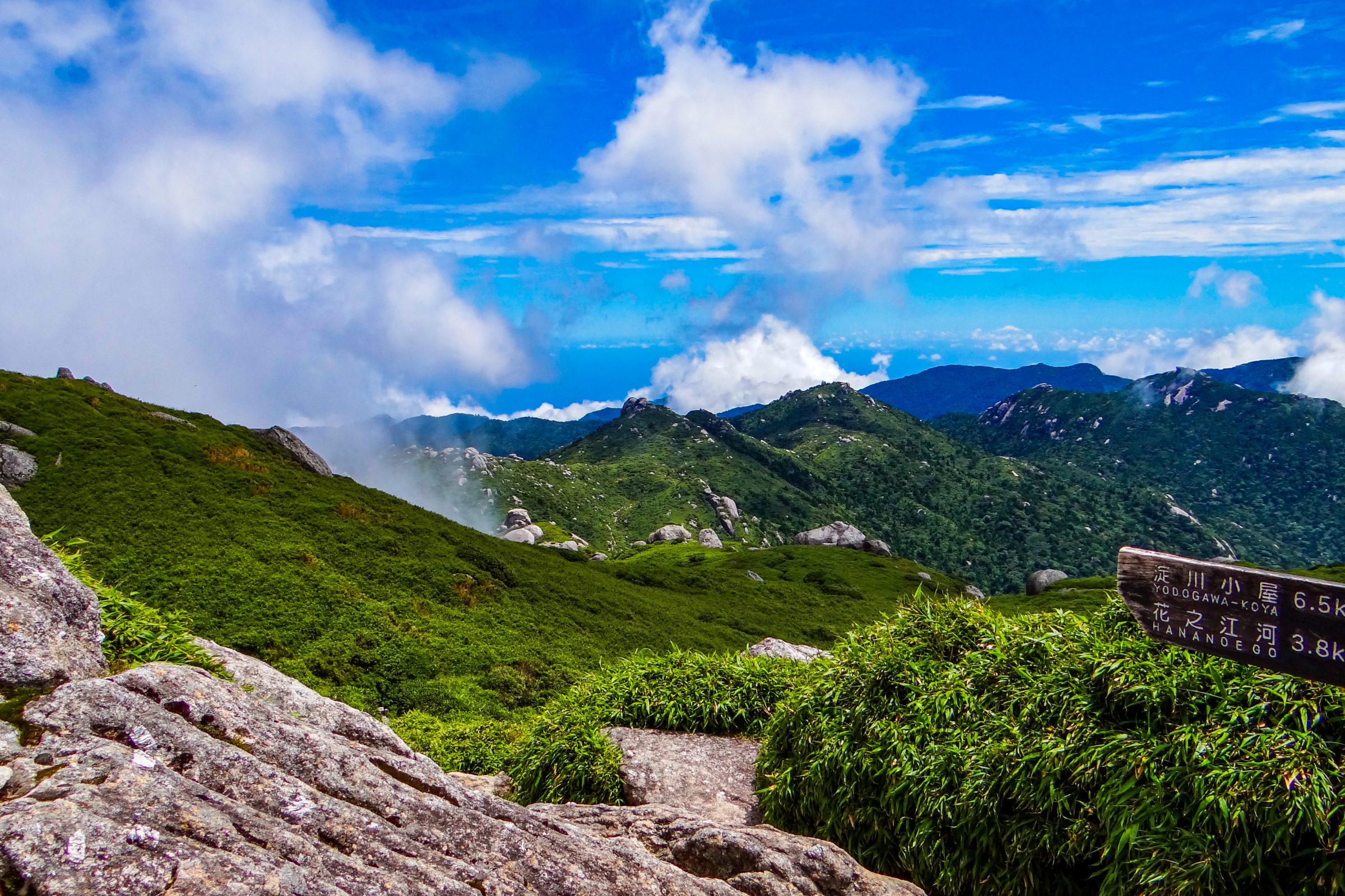 110 yakushima.webp
